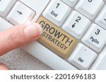Small photo of Handwriting text Growth StrategyStrategy aimed at winning larger market share in short-term. Conceptual photo Strategy aimed at winning larger market share in shortterm