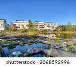Pond Of The Botanical Garden At ...