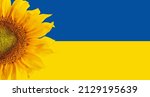 Ukraine  sunflowers are a...