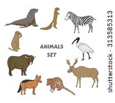 Cartoon Cute Animals Vector Set....