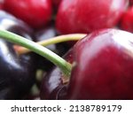 Dark cherry stem. Focused mainly on the icing of the fruit, leaving as a second option the skin called the epicarp and the other cherries out of focus in the background.