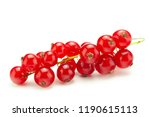Red Currant Berry Isolated On...