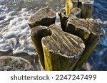 Small photo of single groyne on the beach. squiggly shape of the wood. Sand and sea water around the tree trunk. Landscape shot from the coast