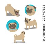 pug dog face and postures | Shutterstock .eps vector #273747836