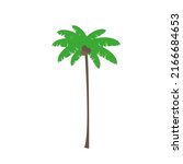 Palm Tree On Isolated White...