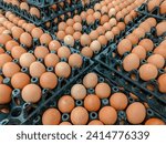 Small photo of Brown eggs are neatly arranged at the supermarket, ready to be picked by discerning customers.