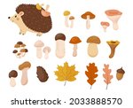 cozy autumn collection of... | Shutterstock .eps vector #2033888570