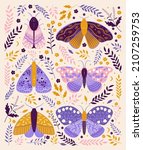 Vintage Vector Butterflies With ...