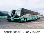 Small photo of Three Peter Pan Buses in Springfield, MA, USA, on November 12, 2023. Peter Pan Bus Lines operates an intercity bus service in the Northeastern United States.