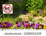 Small photo of city flower bed with a sign forbidding trampling on flowers. trample plants. flower bed in the city. lawn prohibition sign