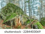 Small photo of Lonely rocks and large boulders in the inanimate nature reserve near the village of Twardorzeczka in Beskid Zywiecki (Poland)
