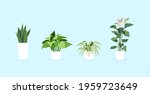 spider plant  golden pothos ... | Shutterstock .eps vector #1959723649