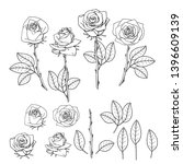 hand drawn rose flower. floral... | Shutterstock .eps vector #1396609139