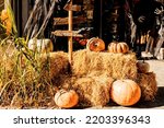 Pumpkins, hay, decor outside on a sunny day. Halloween