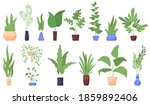houseplants. flowerpots.... | Shutterstock .eps vector #1859892406