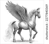 Hand Drawn Engraving Pen and Ink Horse with Wings Pegasus Vintage Vector Illustration