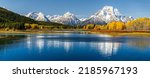 Panoramic view of Mount Moran from Oxbow Bend beside Snake River of Grand Teton, Wyoming. Color of trees and bushes changing due to autumn change to winter.
