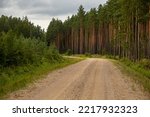 Small photo of Gravel and sand road in the pine forest. Diminishing perspective of the path in the woods. Walking or driving through the trees on the forest road with green grass on the sides