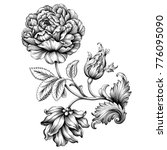 rose flower vintage baroque... | Shutterstock .eps vector #776095090