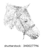 horse head sketch  | Shutterstock .eps vector #340027796