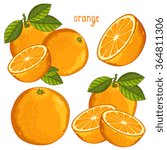 orange vector. fresh tropical... | Shutterstock .eps vector #364811306
