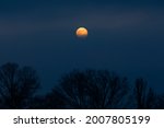 Full orange moon in a clear dark blue sky behind a tree, nature background