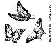 butterfly watercolor  isolated... | Shutterstock . vector #489271810