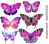 beautiful pink butterflies... | Shutterstock . vector #666563650