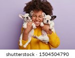 Close up shot of pleased woman with Afro hair holds two puppies, spends leisure time with loyal animal friends, happy to have newborn french bulldog dogs, isolated on purple wall. Animals, people
