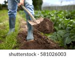 farming, gardening, agriculture and people concept - man with shovel digging garden bed or farm