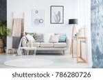 Paintings of cactus and hexagons hanging over a cozy sofa with many pillows standing next to a black lamp in living room interior