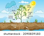 photosynthesis as a process of... | Shutterstock .eps vector #2090839183