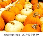 Small photo of Pumpkin time is Halloween tine