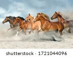 Horse Herd  Galloping On Sandy...