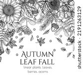 Vector Autumn Banner Template...