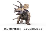 Triceratops  Dinosaur Reptile ...