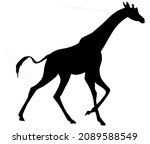vector illustration of a black... | Shutterstock .eps vector #2089588549