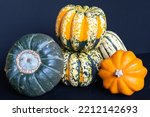 Colorful Winter Squash From The ...