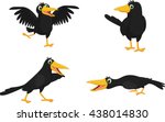 Set Of Cute Cartoon Crow