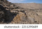 Small photo of The desert, dry and torrid nature of the surroundings of the viewpoint of Ocolle du Perou, walk and walk on a path along the high mountains, ruines Uyu Uyu. Agriculture field on several levels