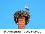The Stork Builds A Nest On The...
