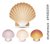Shell Seashell  Scallop Set...