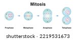 Scientific Designing Of Mitosis ...