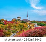 Small photo of Namsan Seoul Tower castle wall during autumn leaves, taken in Seoul, South Korea.