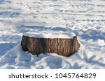 Stump From A Tree With Snow On...