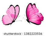 Butterflies With Wings Color...