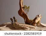 Small photo of Front view of rock, dry twig, small green tree and sand desert on dark brown. Empty rock as platform for display product. Natural beauty concept, minimal background.