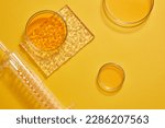 Flat lay of a test tube with spiral pipe inside and several petri dishes filled with orange liquid decorated on orange background. Copy space for text adding