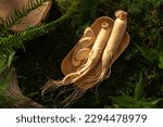 Small photo of Ginseng roots and slices on rectangle wooden plate on natural background with green moss, leaves and twig. Background with copy space for advertising product