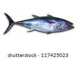 Bluefin Tuna Really Fresh...
